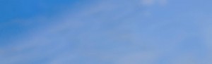 programs_bg